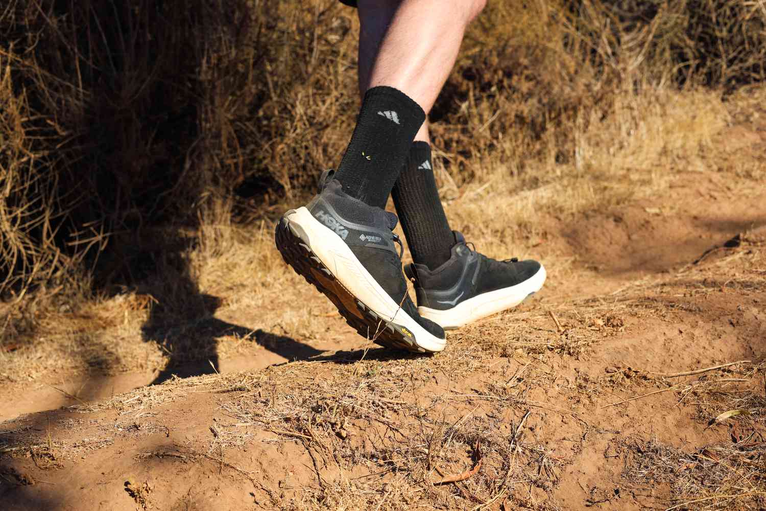 image from 5 Best Hiking Shoes for Beginners in 2025